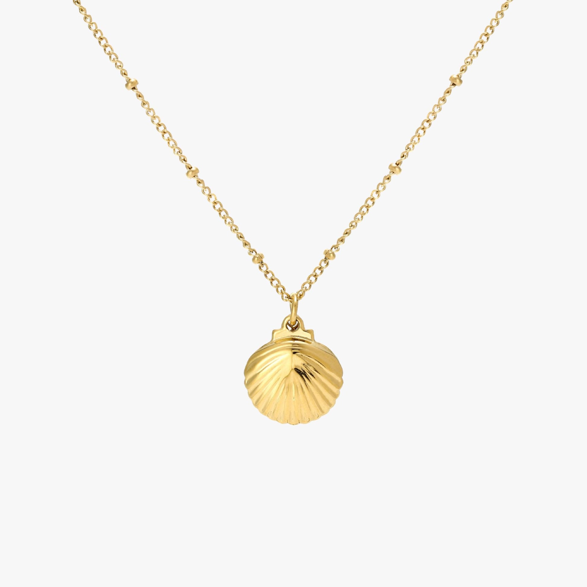 Seashell Necklace