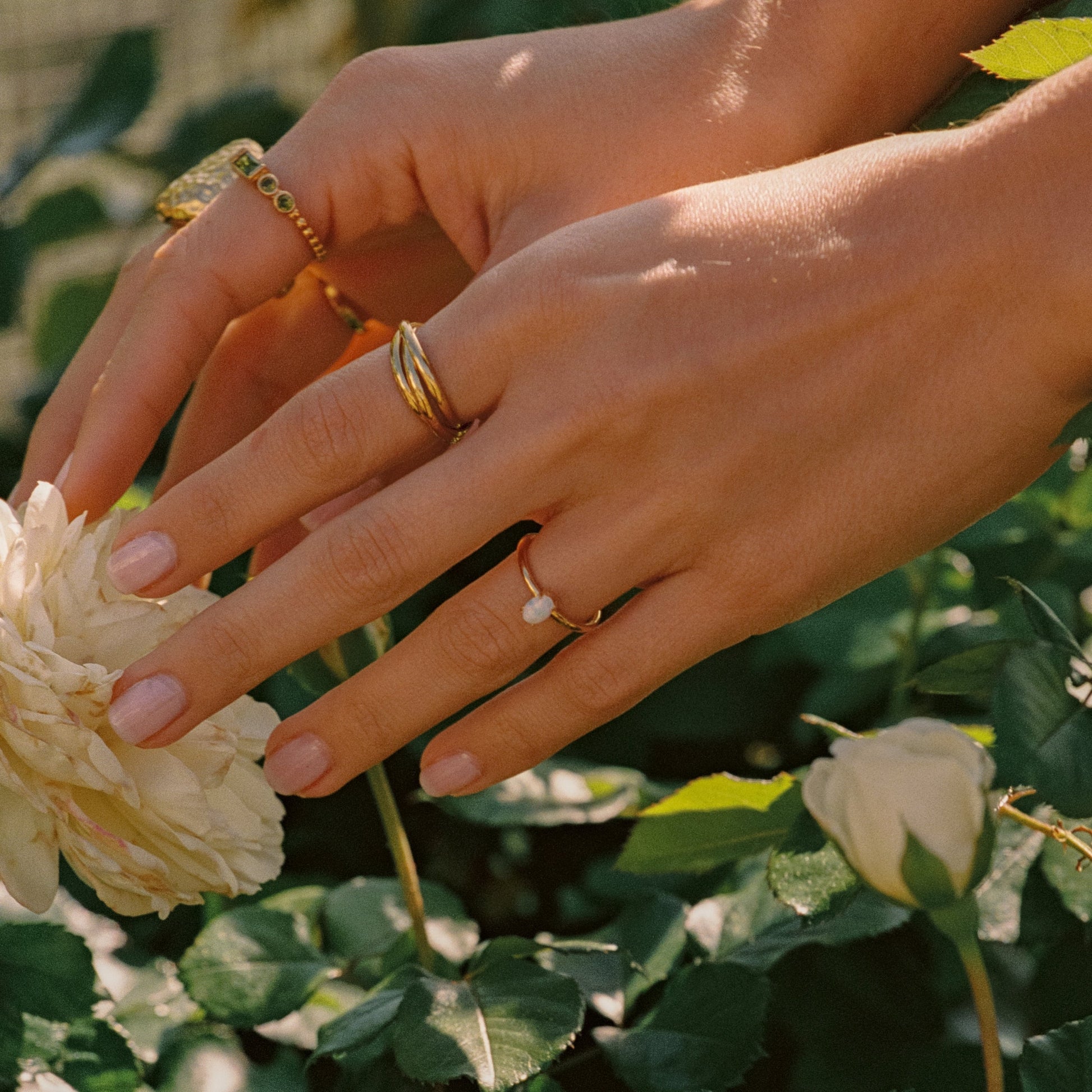 Bond Ring